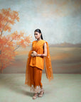 ORANGE + ORGANZA DETAILING + COTTON SILK & ORGANZA + KURTA SET + 3 PCS