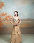 GOLDEN & GREEN + ZARDOZI MIRROR WORK + SILK + LEHENGA SET + 2 PCS