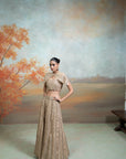GOLDEN + ZARDOZI MIRROR CUTDANA WORK + RAW SILK + LEHENGA SET + 3 PCS