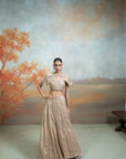 GOLDEN + ZARDOZI MIRROR CUTDANA WORK + RAW SILK + LEHENGA SET + 3 PCS