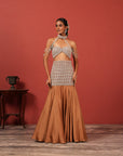 Brown Fusion Lehenga Set