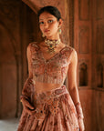 Powder Pink Organza Embroidered Lehenga Set