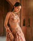 Powder Pink Organza Embroidered Lehenga Set