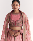 Neelkamal Light Pink Lehenga Set