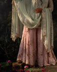 TARANA