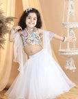 Heavy Embroidered Blouse with Organza Lehenga