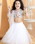 Heavy Embroidered Blouse with Organza Lehenga