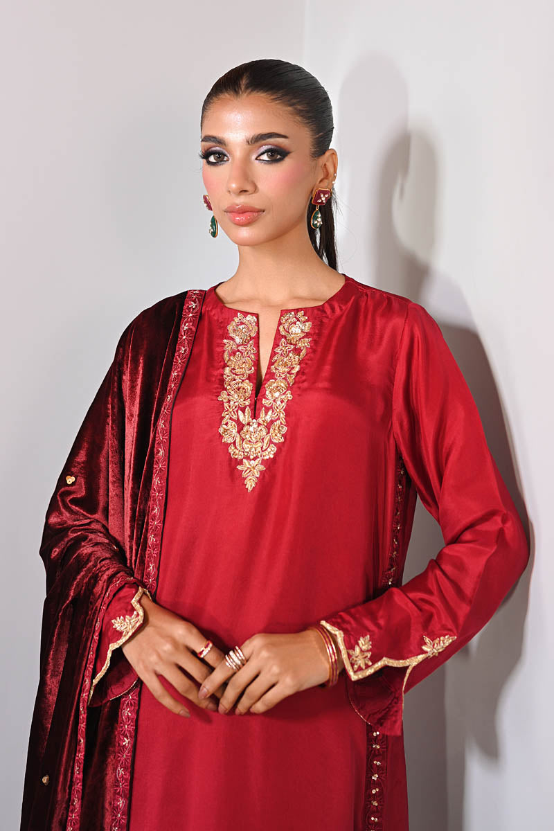 Crimson Muse  Velvet Suit Set